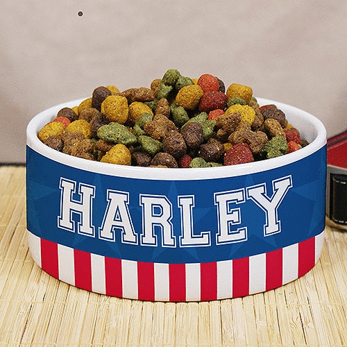 Personalized Patriotic Dog Gifts