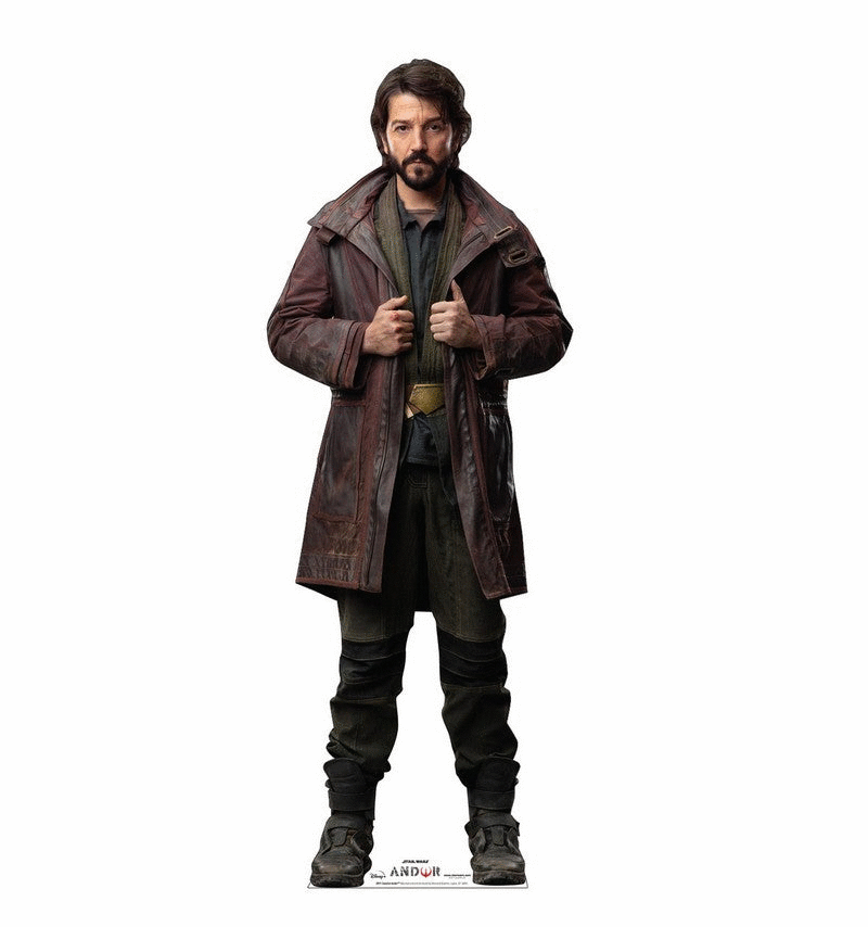 Disney Star Wars Andor Standees