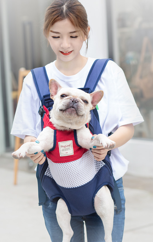 Pet Carriers