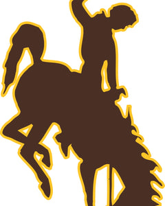 Collection image for: University Of Wyoming Merchandise