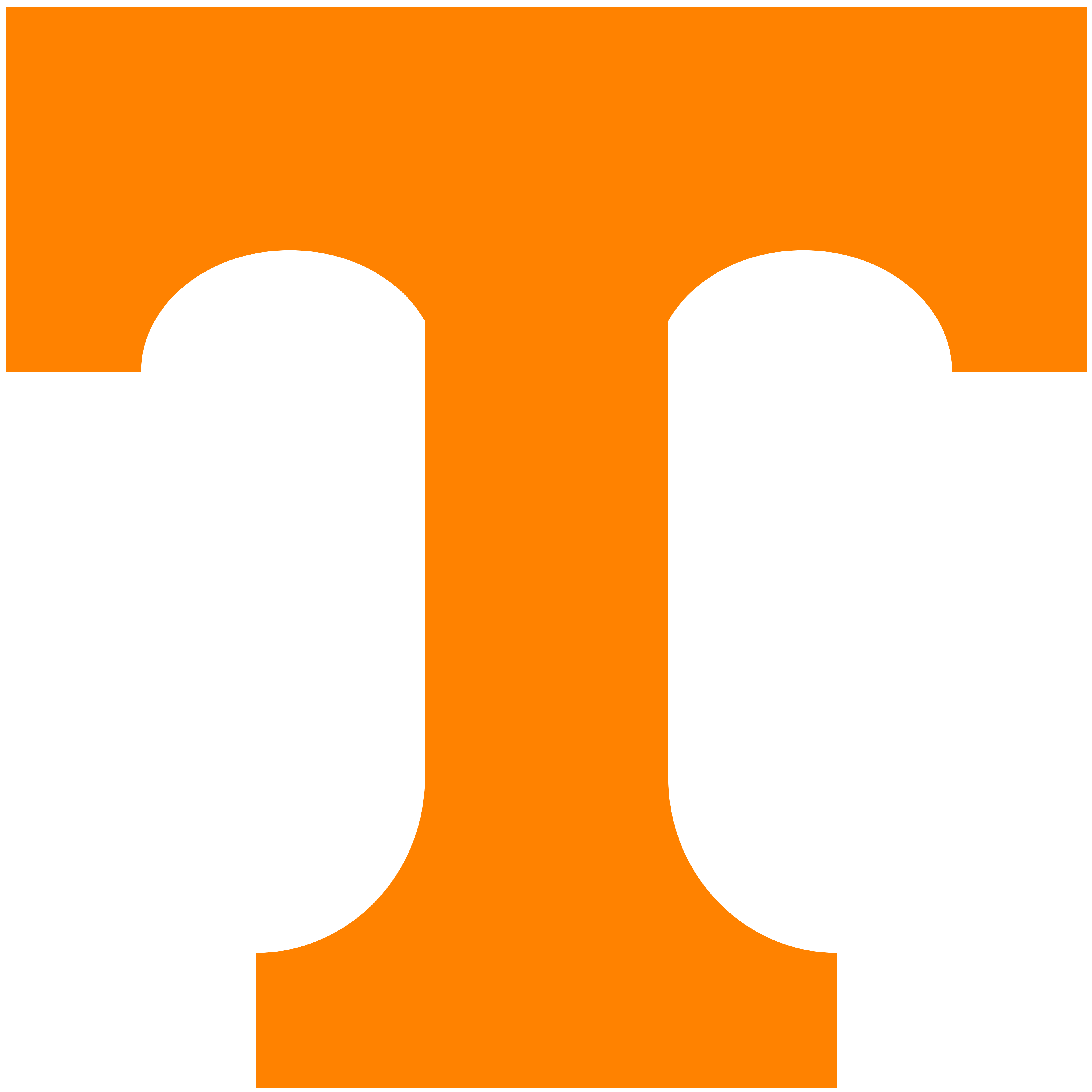University Of Tennessee Merchandise