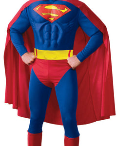 Collection image for: Adult Superhero Costumes