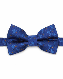 Collection image for: Aladdin Neck Ties