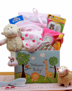 Collection image for: Baby Girl Gift Baskets
