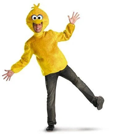 Adult Sesame Street Costumes