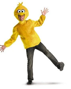 Collection image for: Adult Sesame Street Costumes