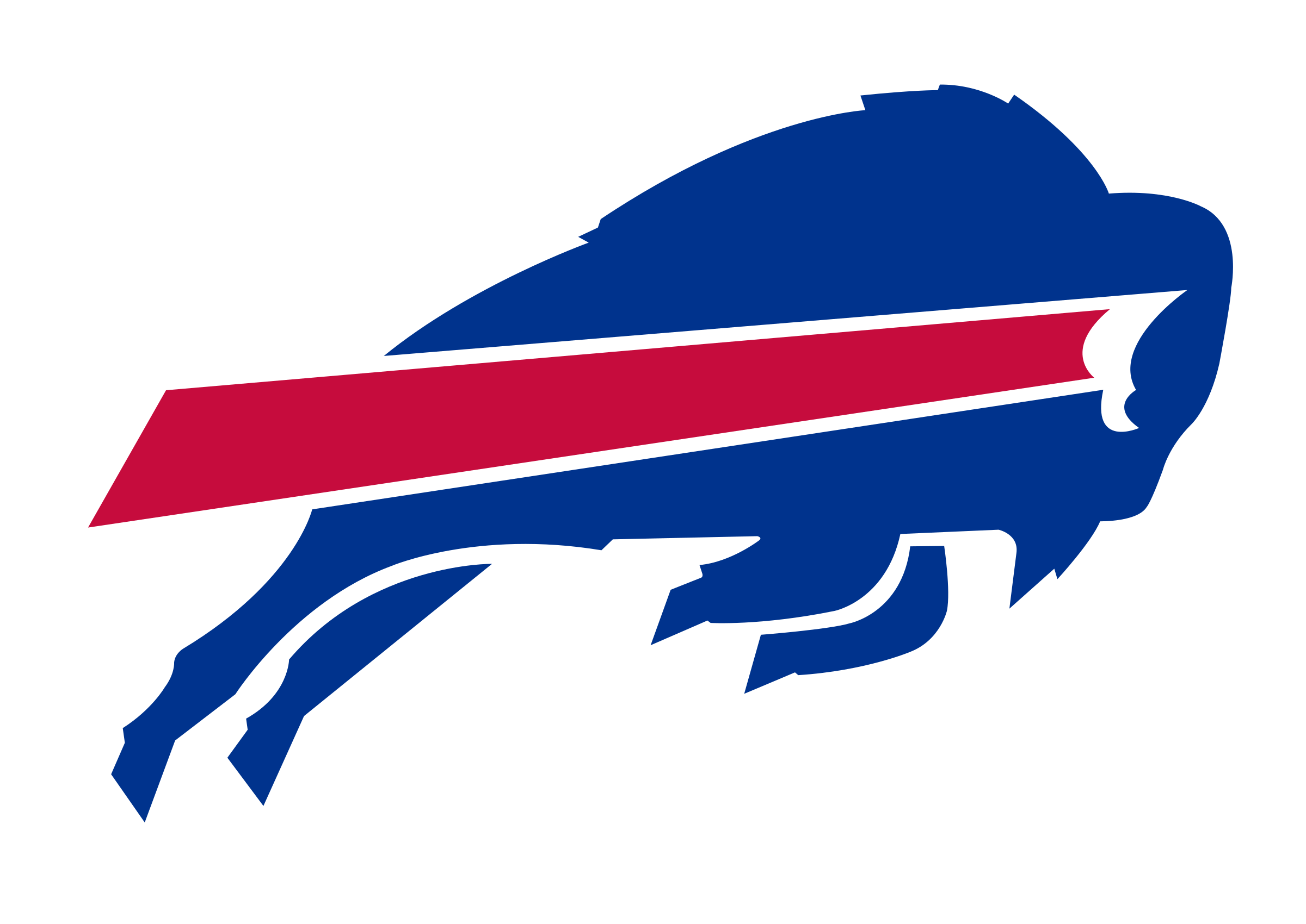 Buffalo Bills Merchandise