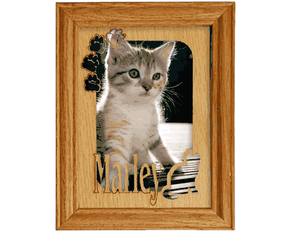 Cat Gifts