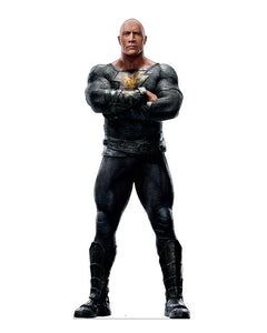 Collection image for: DC Black Adam Standees