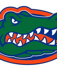 Collection image for: University Of Florida Merchandise