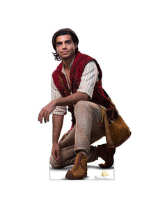 Collection image for: Life Size Aladdin Standees