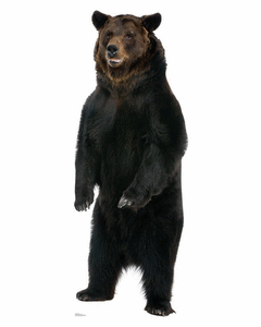 Collection image for: Life Size Animal Standees