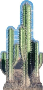 Collection image for: Life Size Cactus Standees