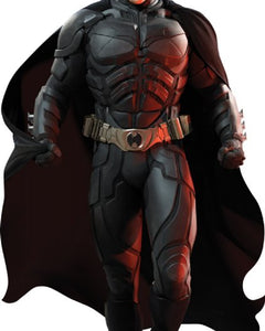 Collection image for: Life Size Dark Knight Rises Standees