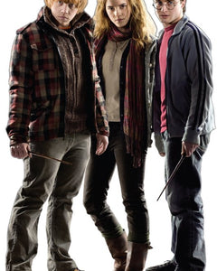 Collection image for: Life Size Harry Potter Standees