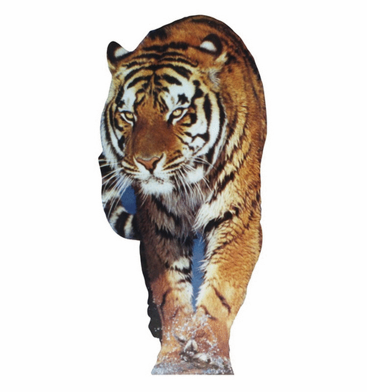 Life Size Tiger Standees