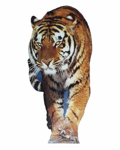 Collection image for: Life Size Tiger Standees