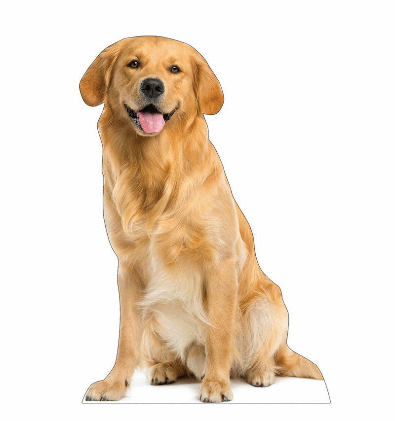 Lifesize Dog Standees