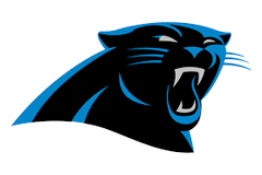 Collection image for: Carolina Panthers Merchandise