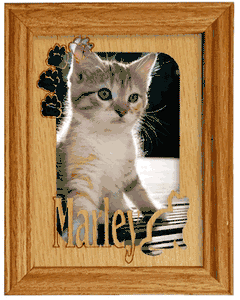 Collection image for: Personalized Cat Gifts