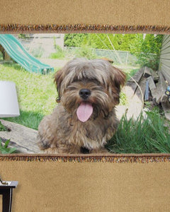 Collection image for: Personalized Dog Throws