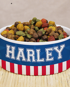 Collection image for: Personalized Patriotic Dog Gifts