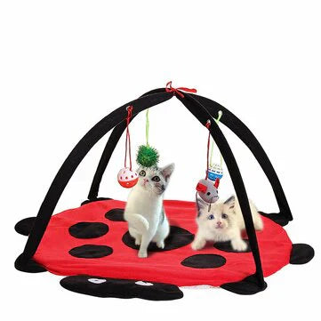 Cat Gifts