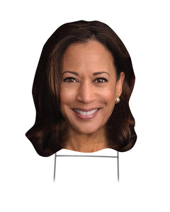 Collection image for: Political Yard Signs