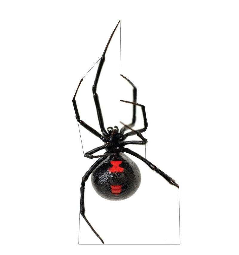 Spider Standees