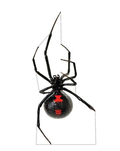 Collection image for: Spider Standees