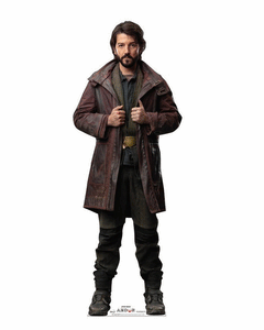 Collection image for: Disney Star Wars Andor Standees