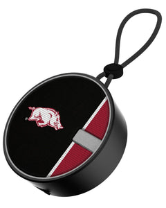 Collection image for: Arkansas Razorbacks Speakers