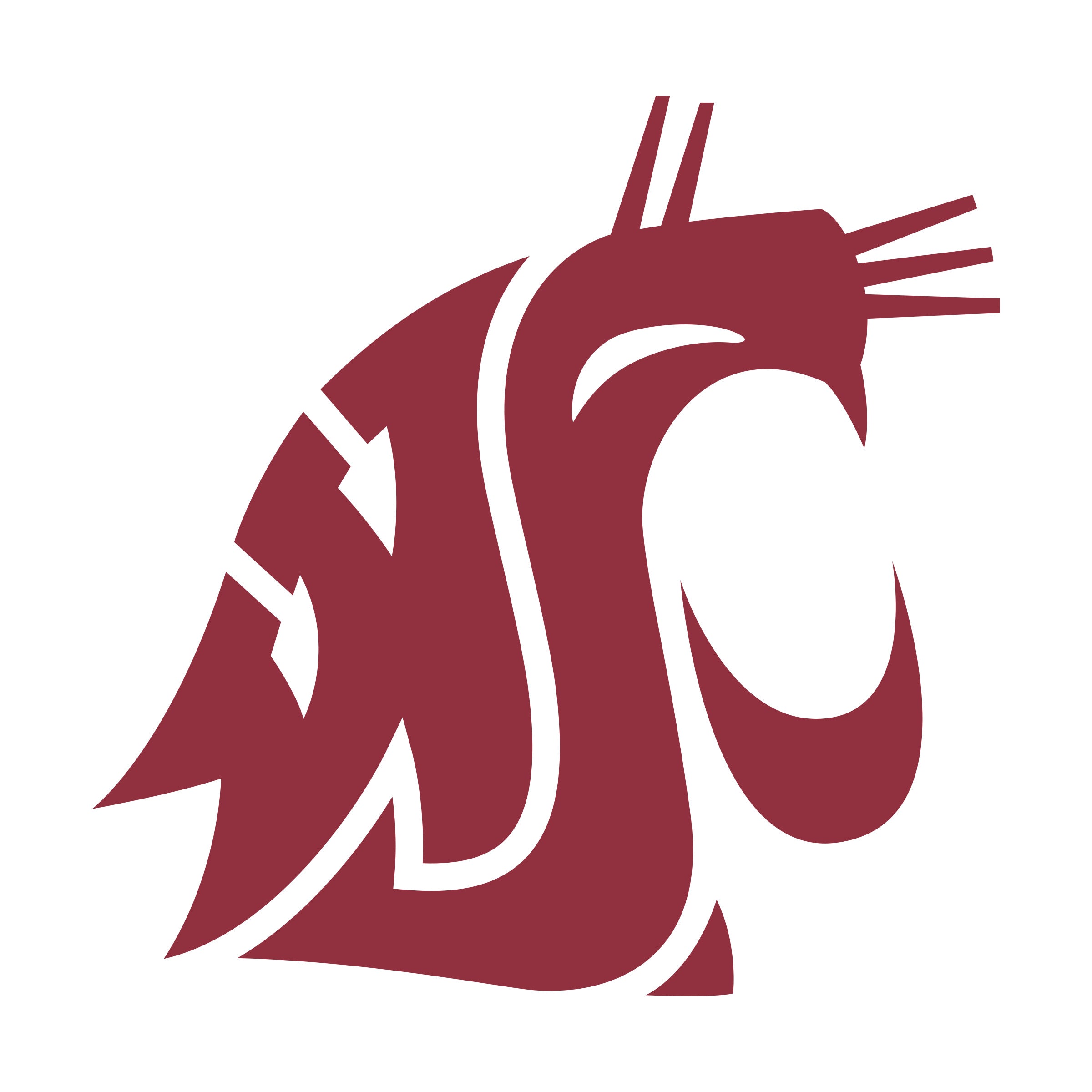 Washington State University Merchandise
