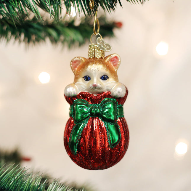 Letting The Cat Out Of Bag Ornament