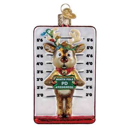 Reindeer Mugshot Ornament