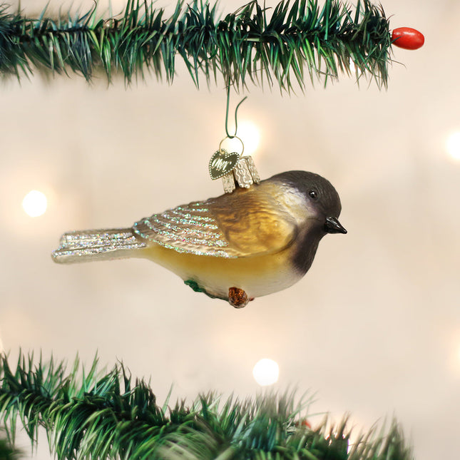 Black-capped Chickadee