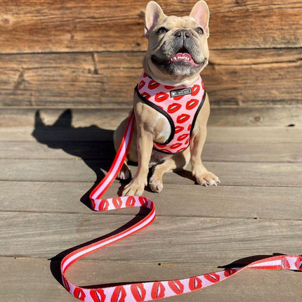Luxury Red Lips Breathable Mesh Harness Chest Back + Traction