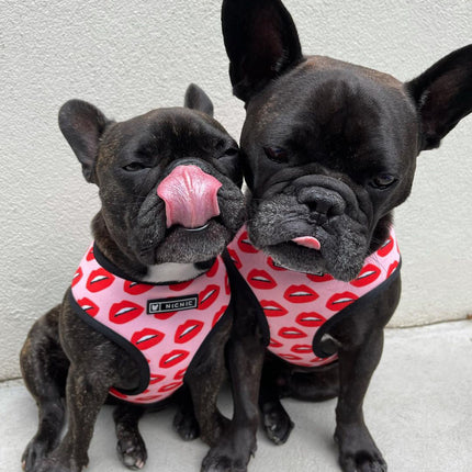 Luxury Red Lips Breathable Mesh Harness Chest Back + Traction