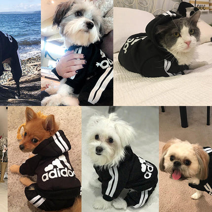 Pet Dog Jumpsuit for Small Medium Dogs
