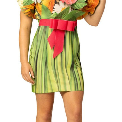 Women's Peacock Dress Costume