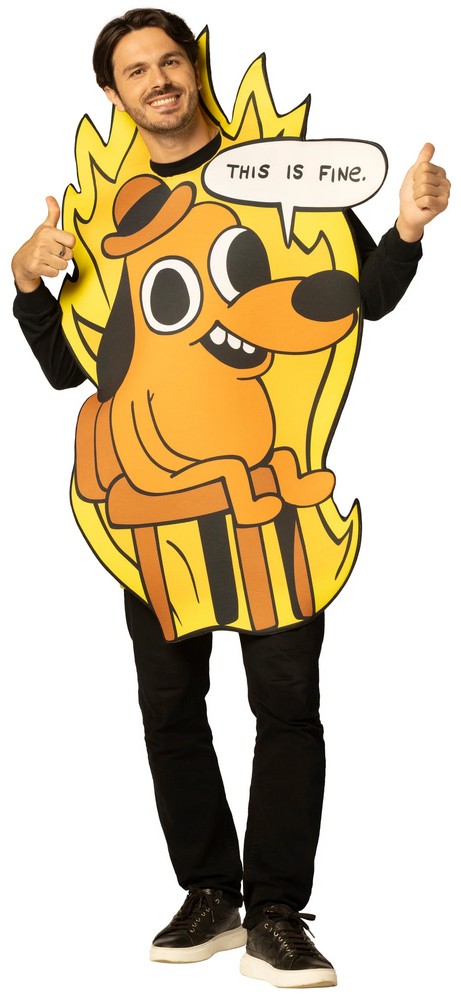 Adult This Is Fine Dog Meme Tunic Costume