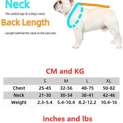 Luxury Red Lips Breathable Mesh Harness Chest Back + Traction