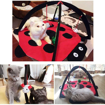 Black Ladybug Cat Play Mat