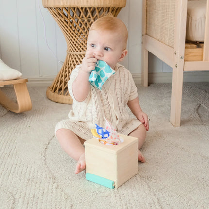 Tiny Land Montessori Toys for Newborns (4-6 Months)