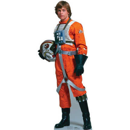 Luke Skywalker Rebel Pilot Star Wars Cardboard Cutout