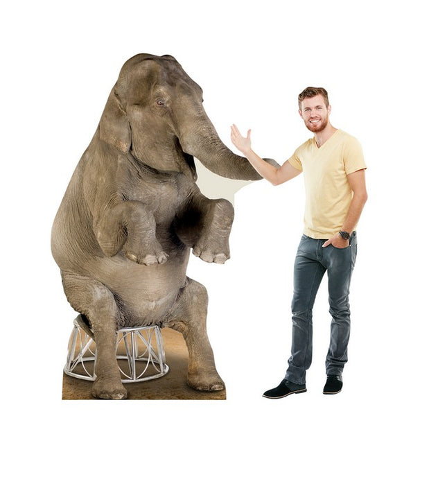 Asian Elephant Cardboard Cutout