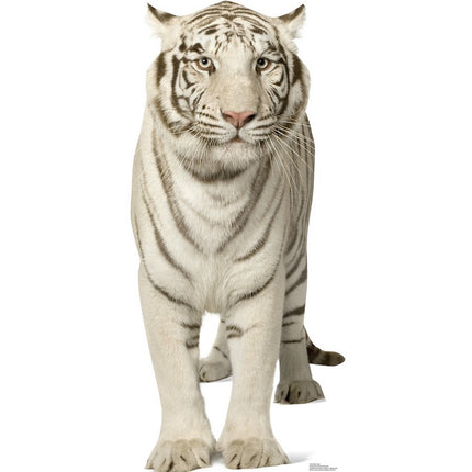 White Tiger Cardboard Cutout