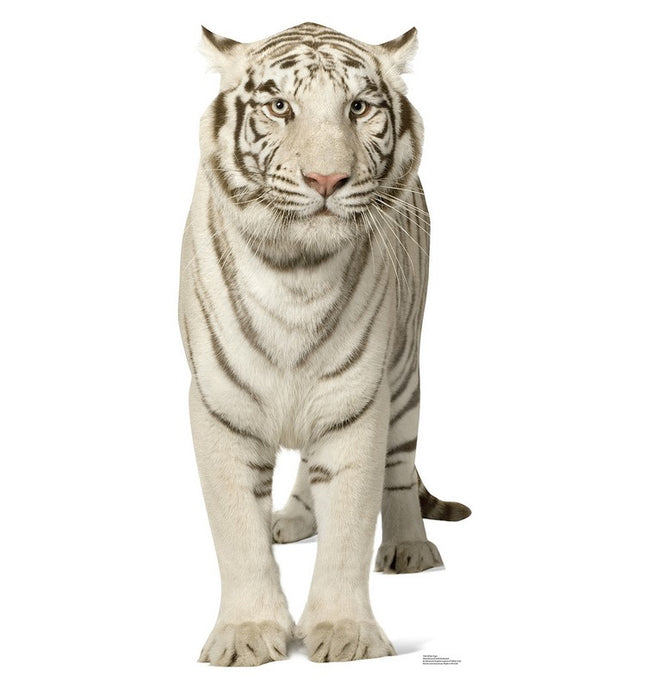 White Tiger Cardboard Cutout