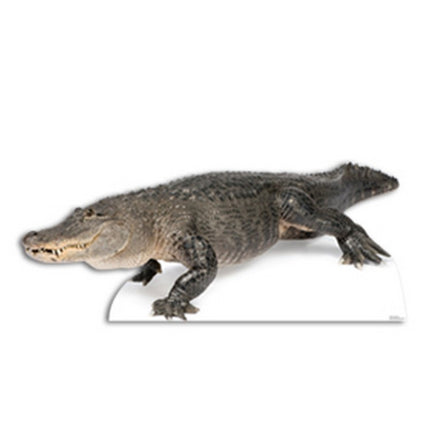 American Alligator Cardboard Cutout