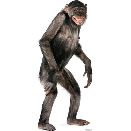 Chimpanzee Cardboard Cutout